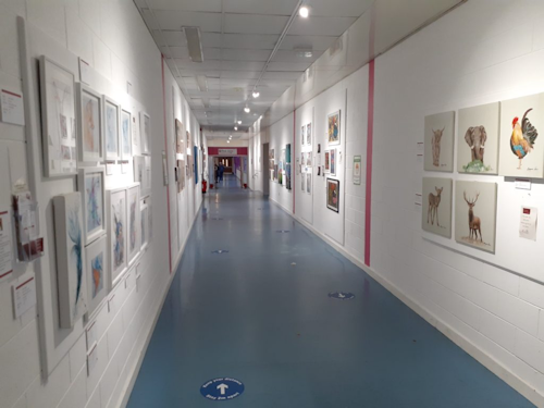 Image of the LIFE Gallery corridor
